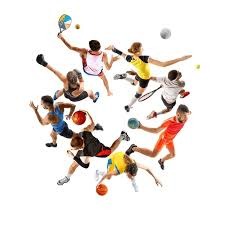 全球体育赛事收视榜：欧冠居首